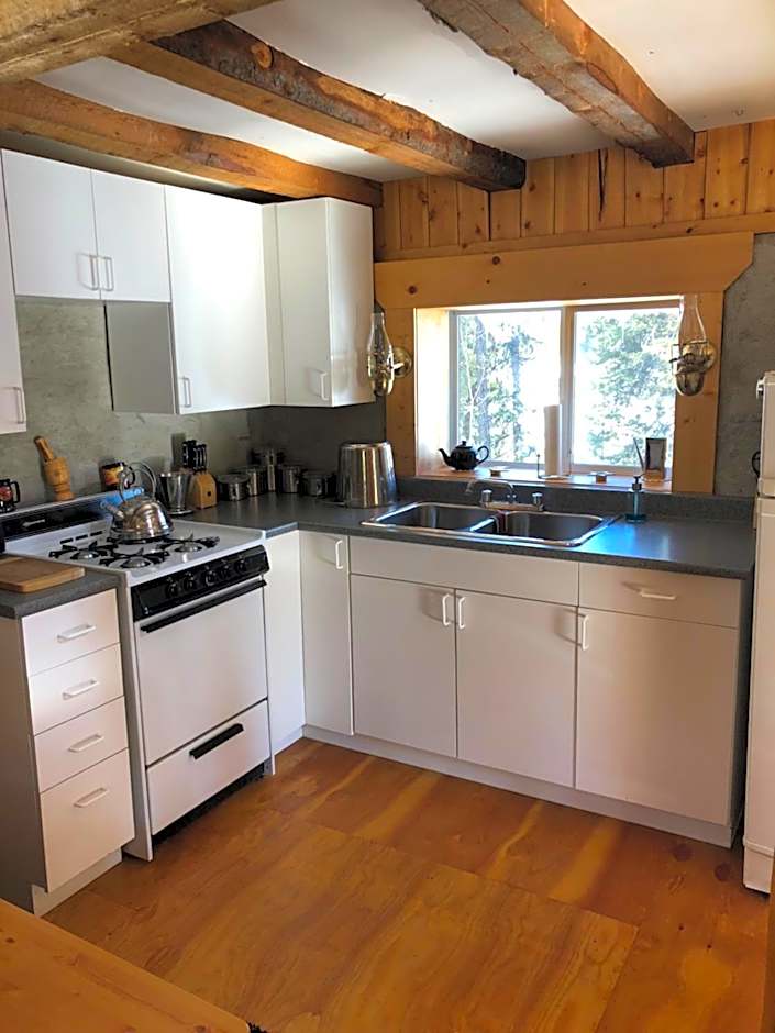 Vines and Puppies Hideaway