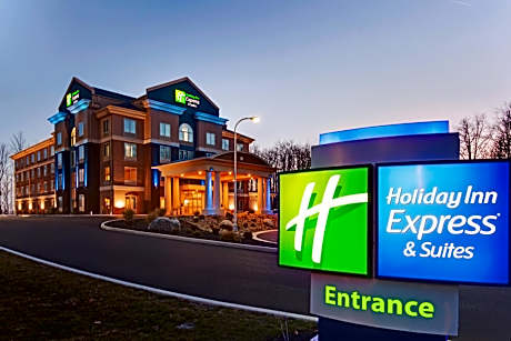 Holiday Inn Express Hotel & Suites Hamburg By IHG