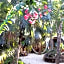 Tubo Tulum Hostel