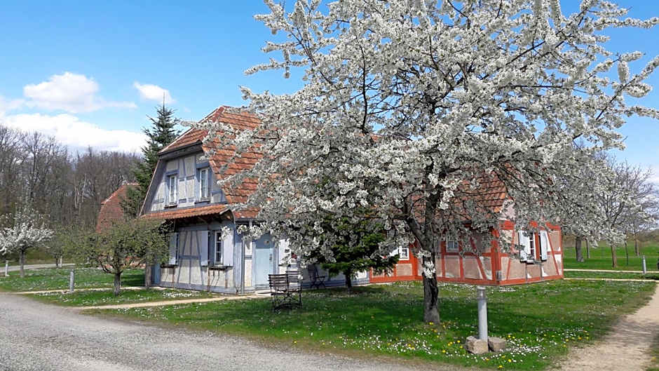 Les Loges de l'Ecomusée D'Alsace