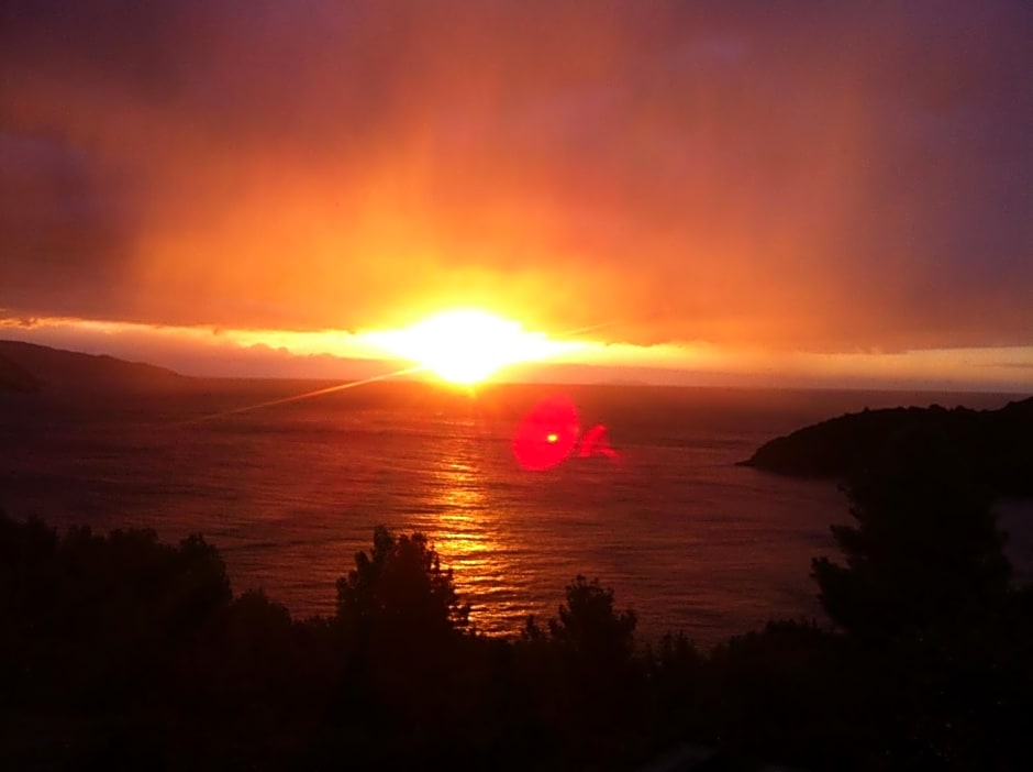 B&B La Collina Sul Mare – Campo nell'Elba, SD