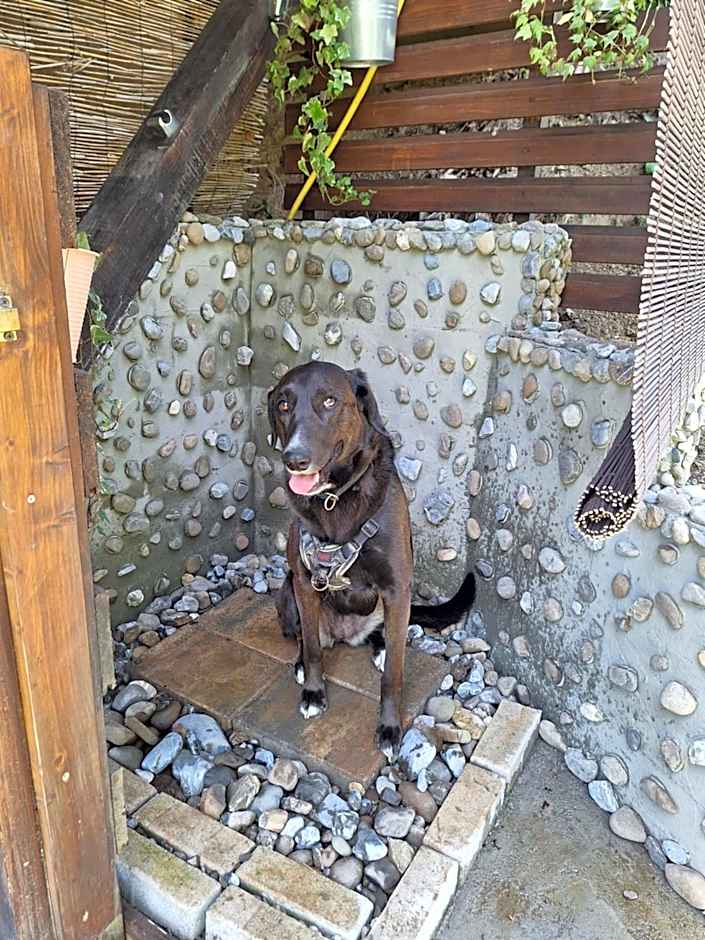 Robinzonski turizam "Robin` s Hood"