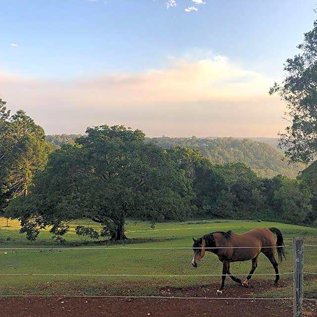 Montville Holiday Apartments