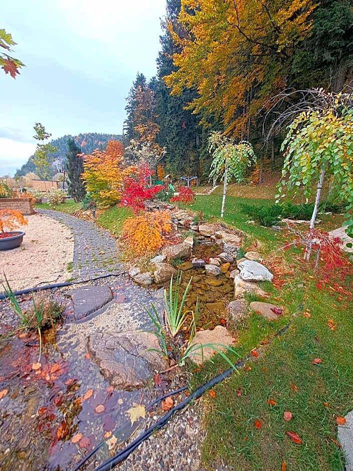 Piatra Pinului Ski & Spa