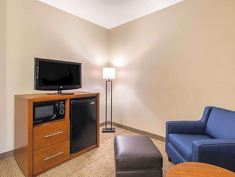 Comfort Inn & Suites IAH Bush Airport - East