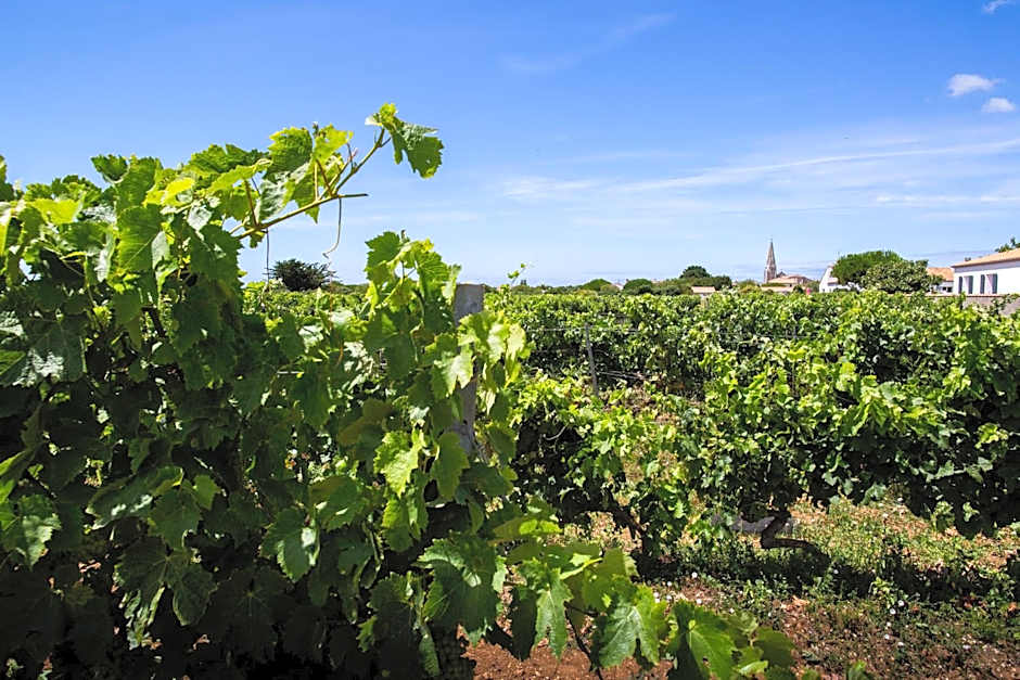 Les Vignes de la Chapelle, The Originals Relais