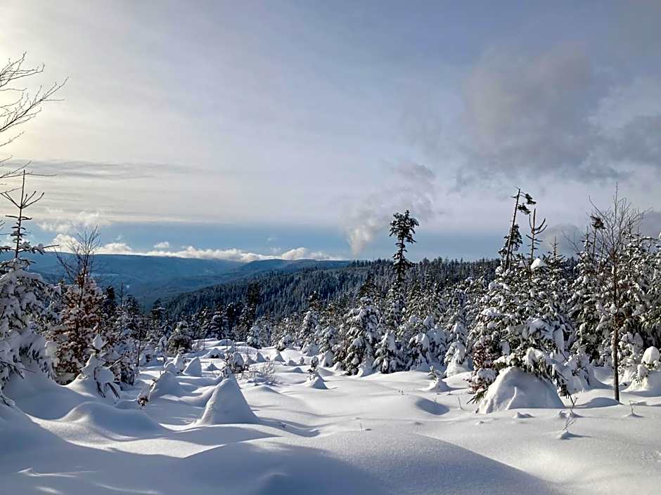 Schwarzwaldhotel Oberwiesenhof