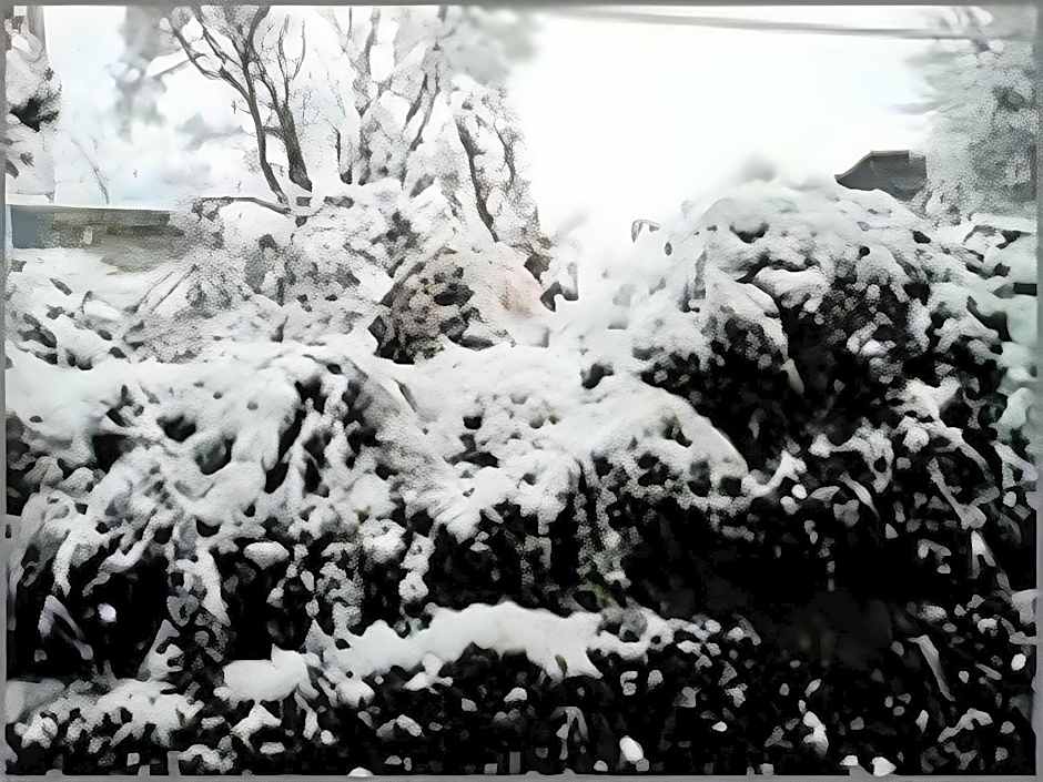 Hotel Shivalik - Best Himalaya View Hotel In Almora