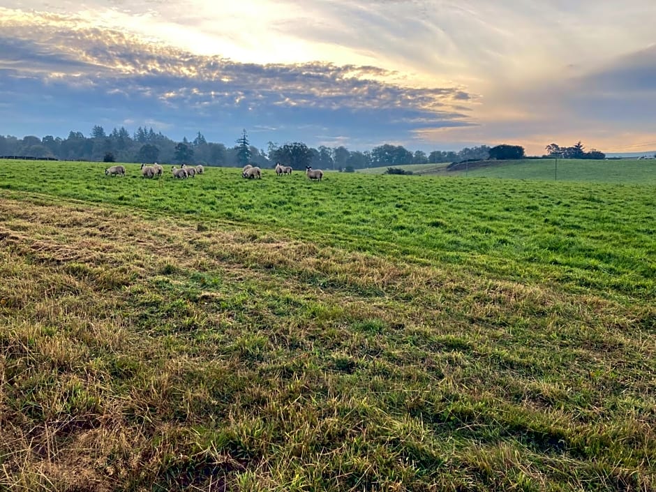 Westertonhill Lodges - Private Hot Tub Hire Available