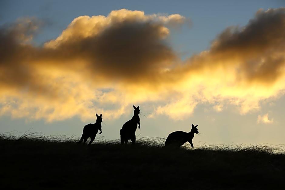 Sky House Kangaroo Island