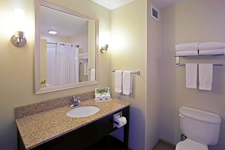 Holiday Inn Express Hotel & Suites Grand Rapids-North