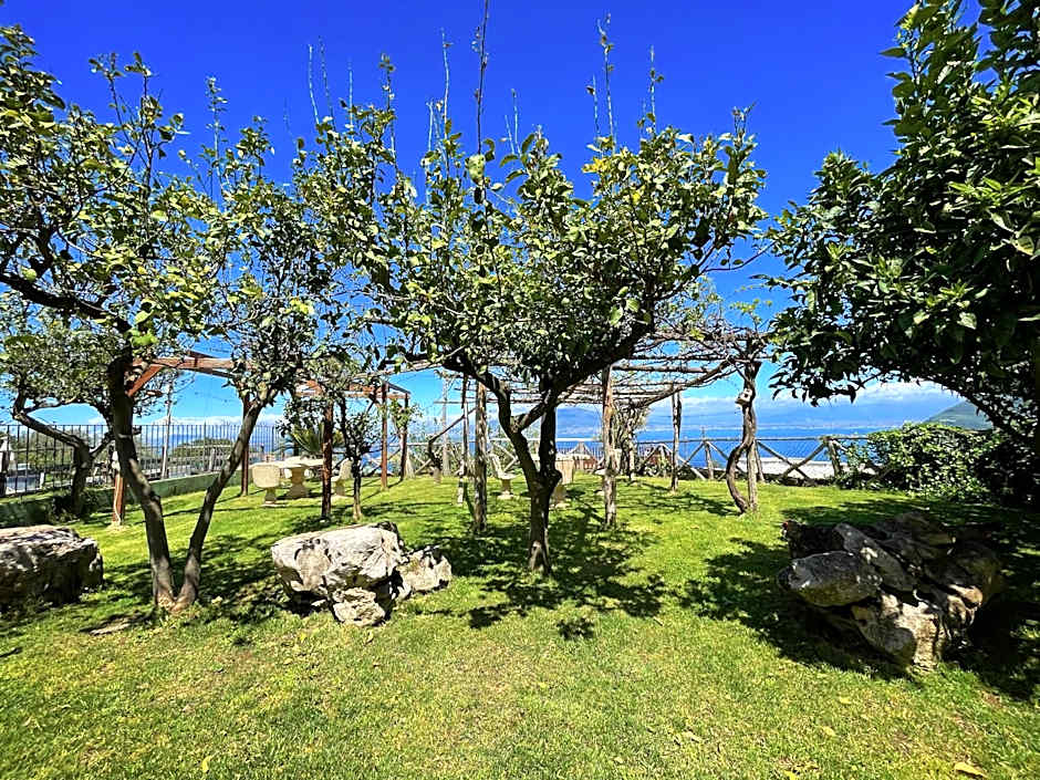 ANTICA TENUTA CELOTTO