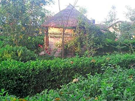 Bardia Kingfisher Resort