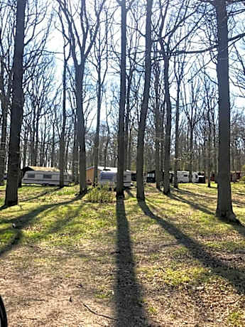 CAMPER STELLPLATZ für dein Camper oder WoMo DIREKT am STRAND