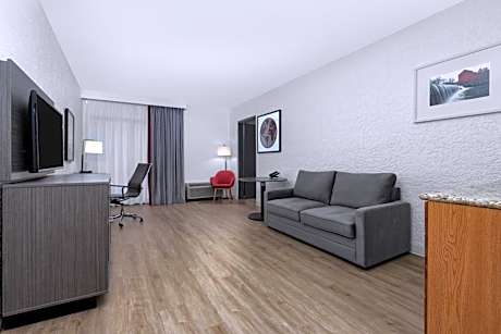 One-Bedroom Superior King Suite - Non-Smoking