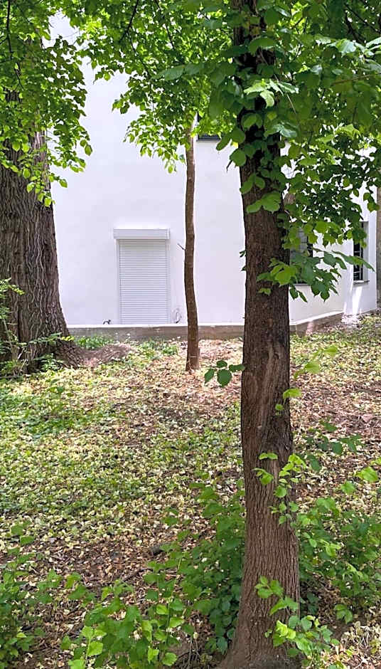 One Room Apartment Decebal