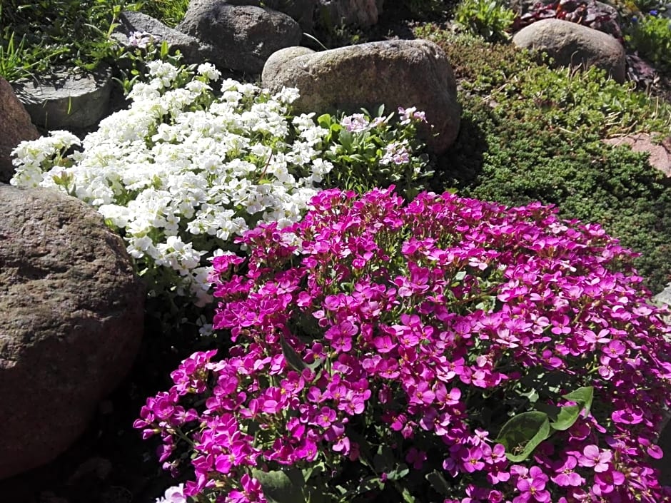 Agroturystyka Cold Sea