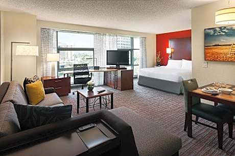 Studio Suite with Sofa Bed