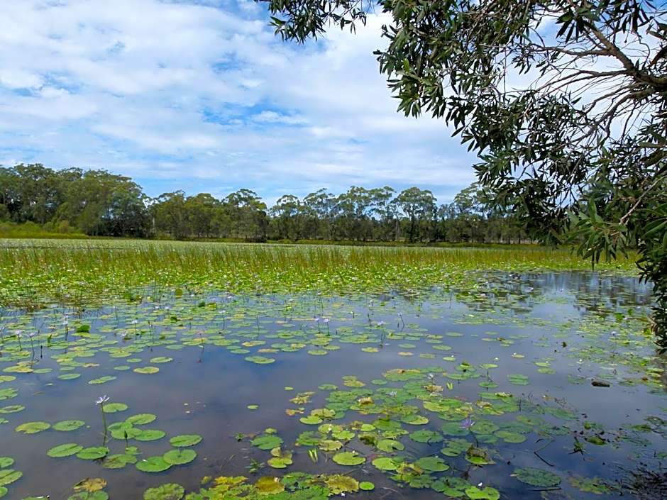 Lake Russell Lakeside Retreat