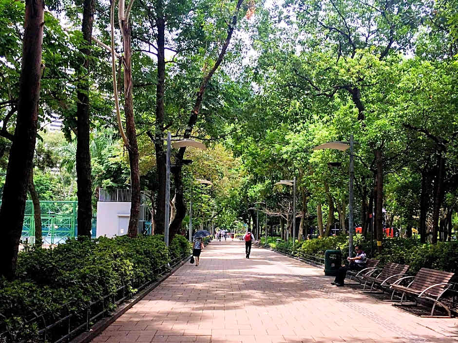 Twenty One Whitfield