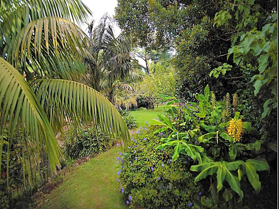 Mountain Sanctuary B&B