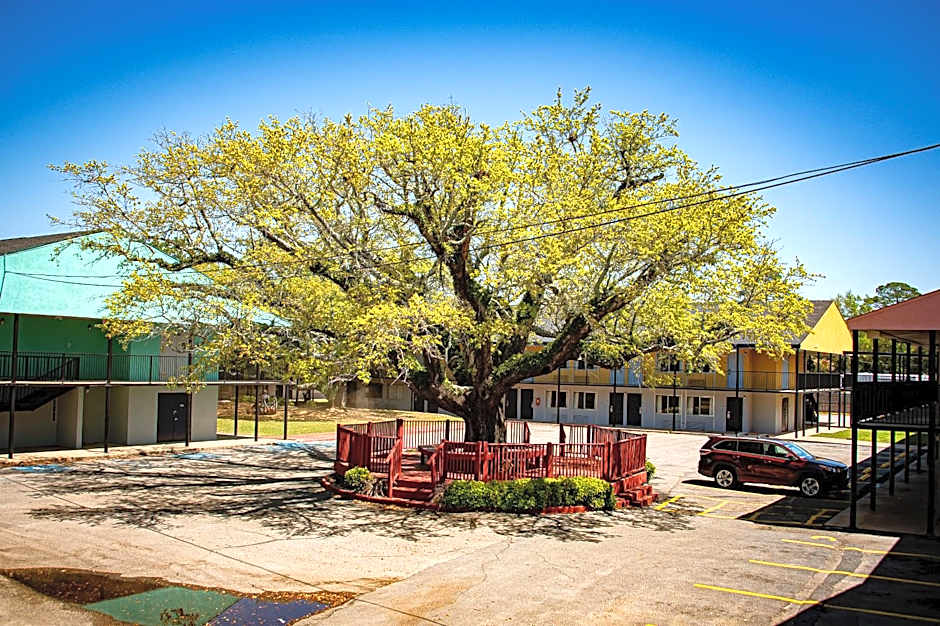 Super 8 by Wyndham Biloxi
