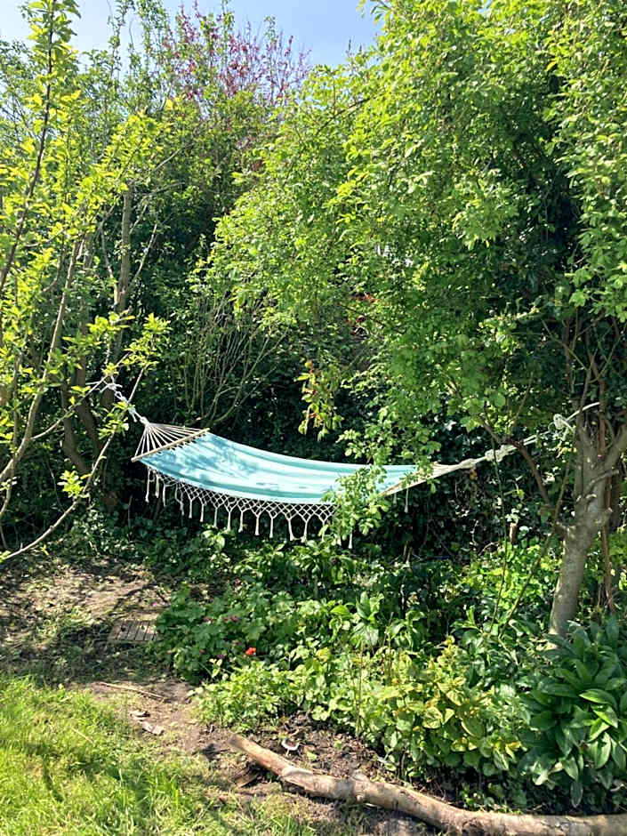 Rosa's zonnige huisje bij duinen bos en strand