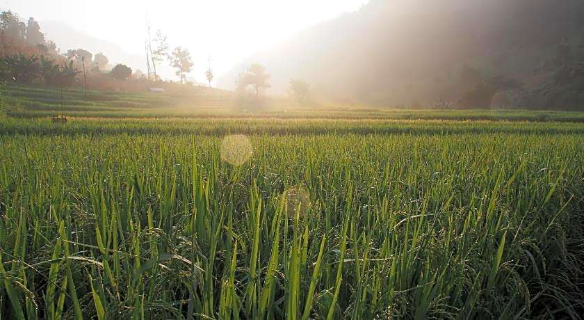 Kowit Maechaem Farmstay