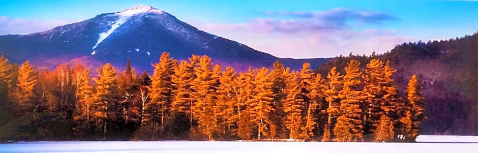 Adirondack Spruce Lodge