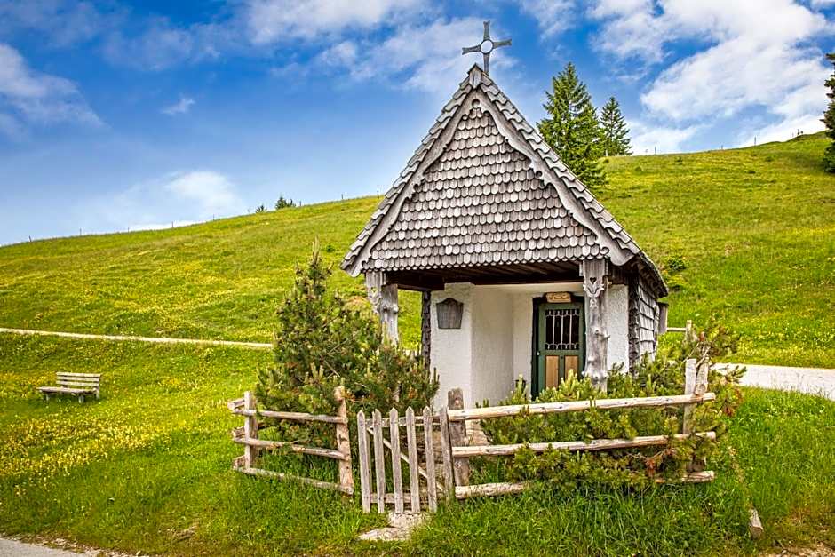 Schnaitstadl-Alm Selbstversorgerhütte
