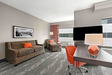 1 King Hear Acc Sofabed Fridge Mic Ns