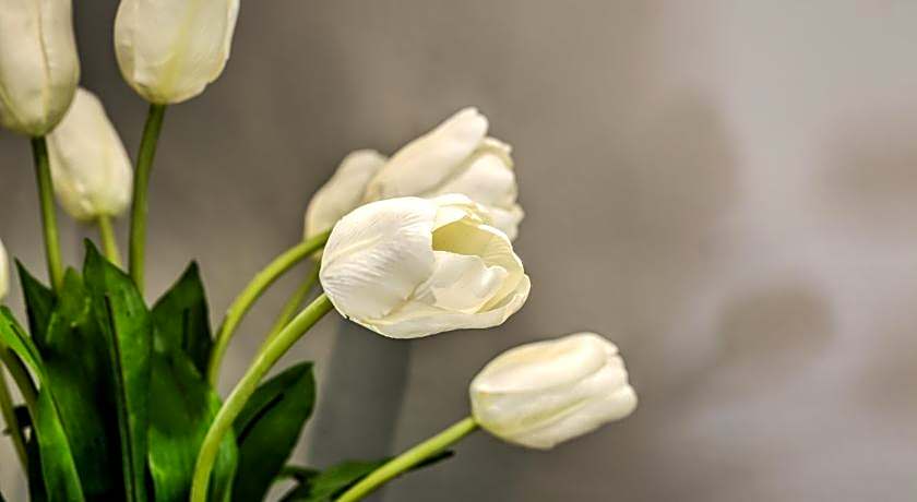 Town Lodge Waterfall, Midrand
