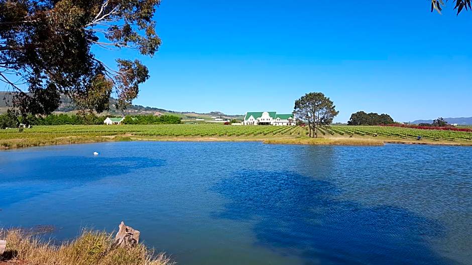 Cana Vineyard Guesthouse