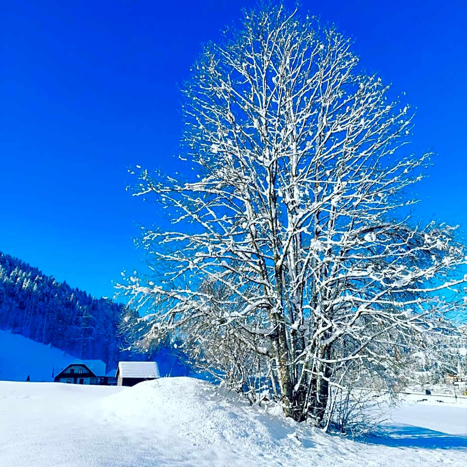 Al sentiero di Charly
