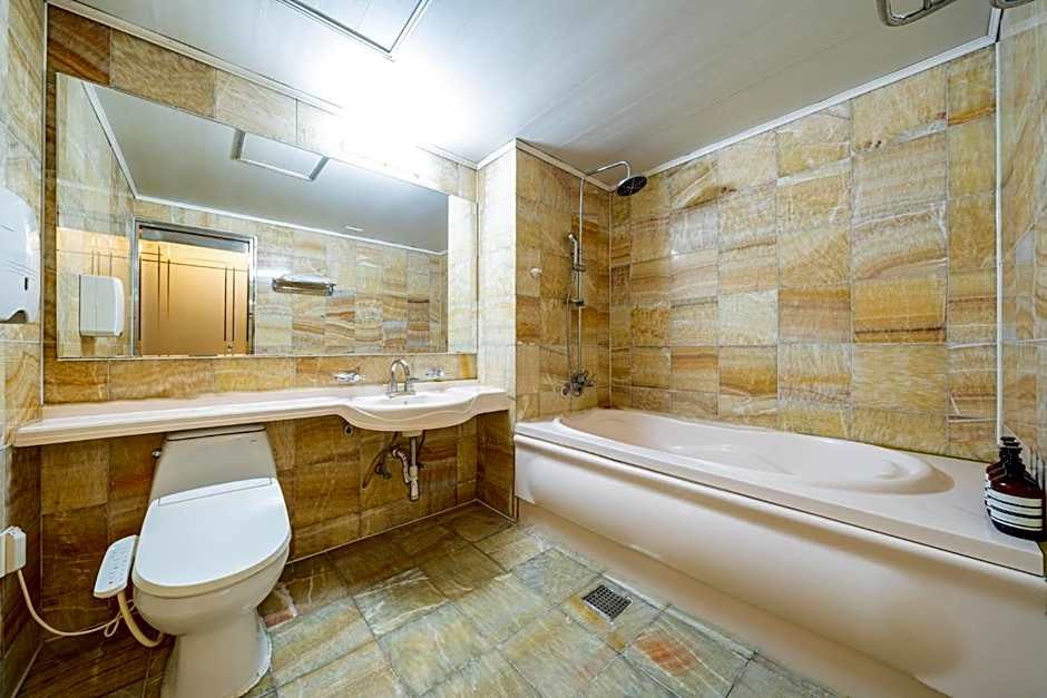 incheon Airport Hotel June