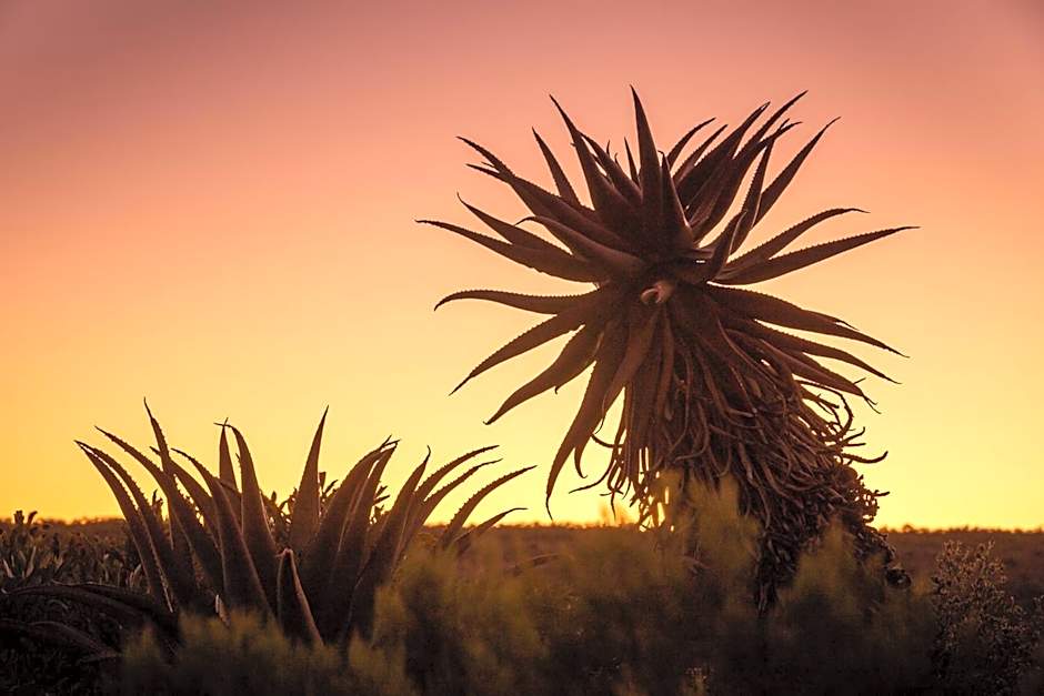 Wildehondekloof Game Lodge