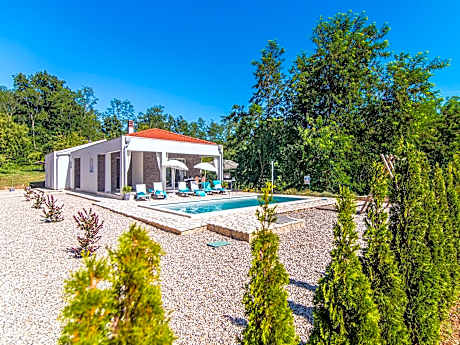 Modern villa with swimming pool and fenced garden