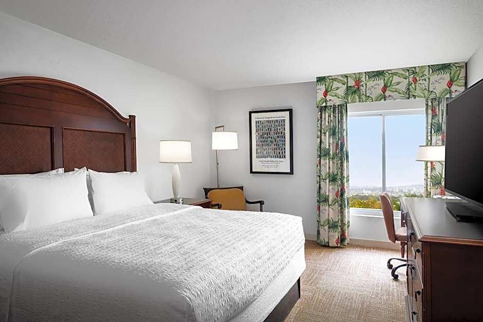 Hampton Inn By Hilton And Suites San Juan