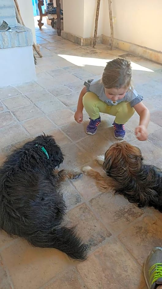 La casa dalle finestre blu