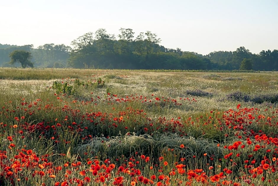 Ferme du bois de Veude