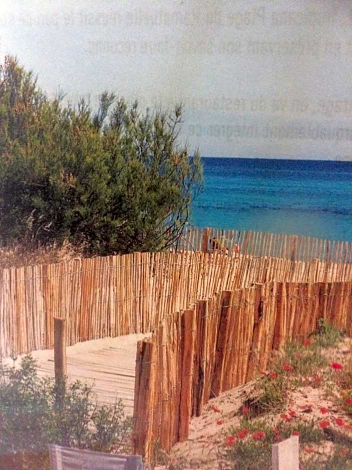 Clos des Vignes Pampelonne Vineyard