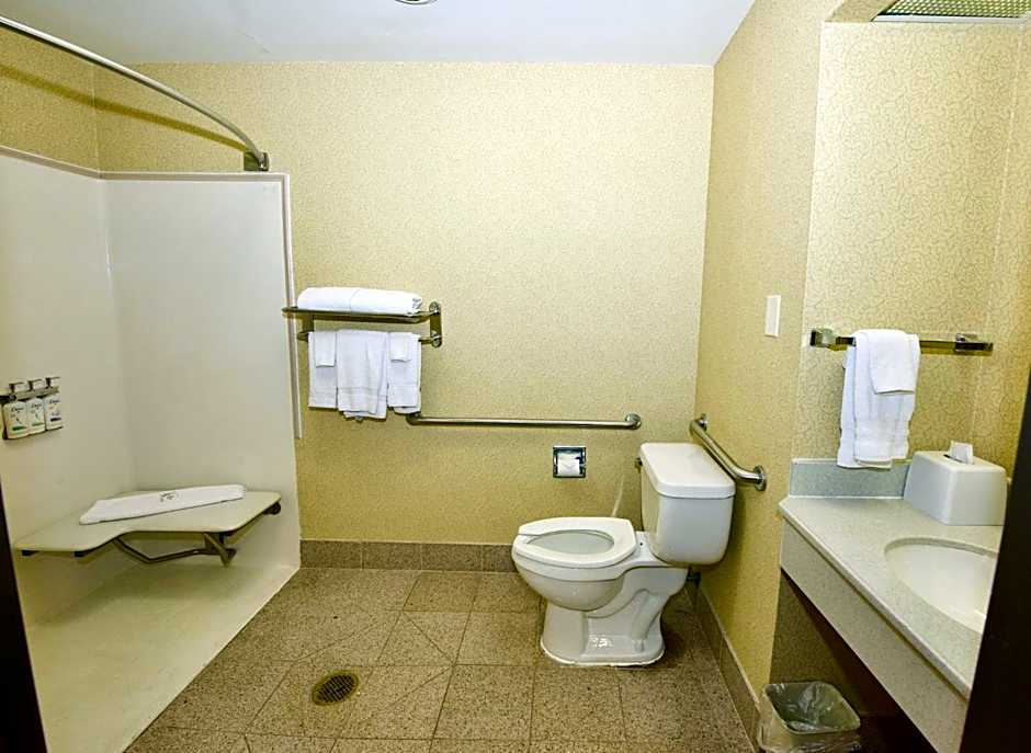 Holiday Inn Express Hotel And Suites Fenton-I-44 By IHG