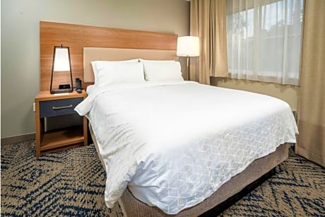 1 Queen Bed Studio Suite