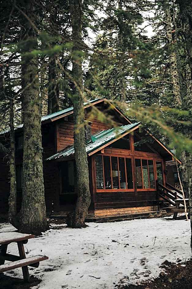 Karinna Orman Evleri