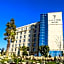 Olive Tree Amman