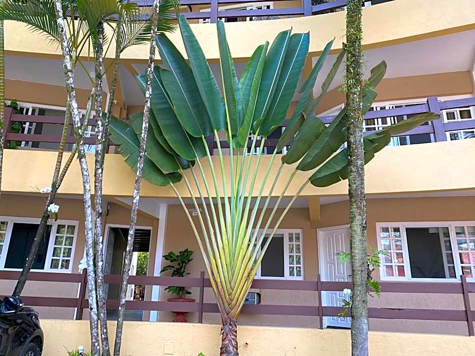 Flat Estudio 220 amarílis 3 Piscinas climatizadas, carregar veiculo eletrico, Bertioga, Riviera de São Lourenço Apartamento estúdio, cozinha equipada completa, serviço de hotelaria, limpeza e trocas diária de toalhas, WI-FI 500 MB