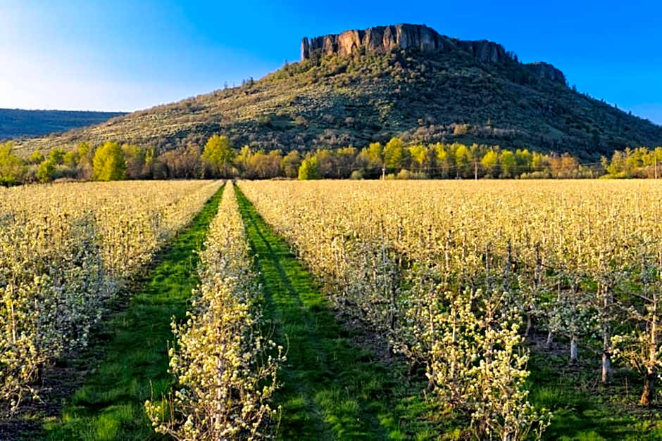 Candlewood Suites Medford By IHG