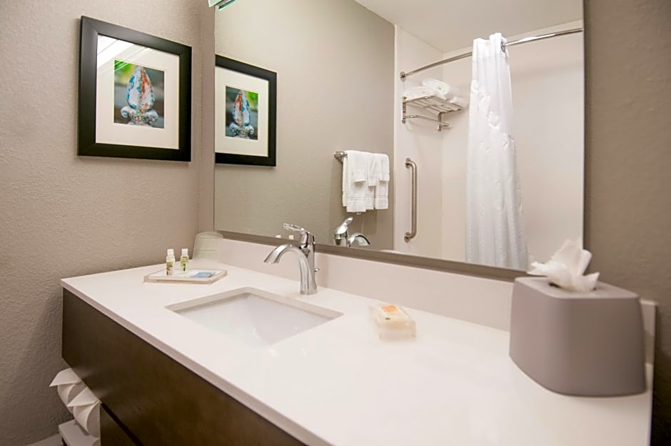 Holiday Inn - New Orleans Airport North, an IHG Hotel