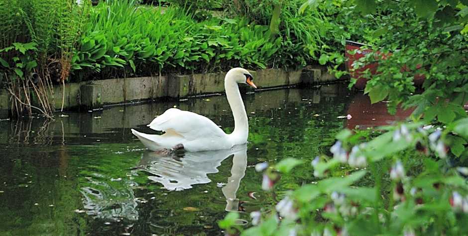 B&B Canal Deluxe