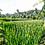 OYO Homes 91094 Desa Wisata Banyuatis